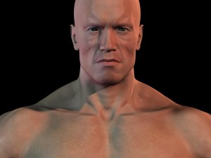 Arnold schwarzenegger body hair and fur 3D Модель