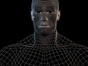 Arnold schwarzenegger body hair and fur 3D Модель
