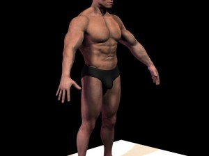 Arnold schwarzenegger body hair and fur 3D Модель