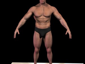 Arnold schwarzenegger body hair and fur 3D Модель