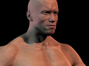 Arnold schwarzenegger body hair and fur 3D Модель