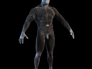 Arnold schwarzenegger body hair and fur 3D Модель
