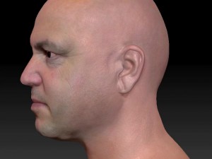 Male head ztl Model 3D