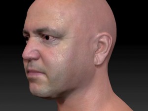 Male head ztl Model 3D