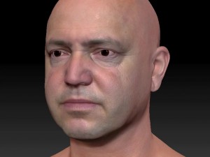 Male head ztl Model 3D