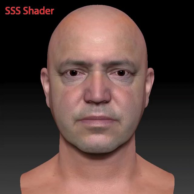 Male head ztl Model 3D .c4d .max .obj .3ds .fbx .stl .blend 