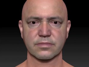 Male head ztl 3D Модель