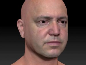 Male head ztl Model 3D