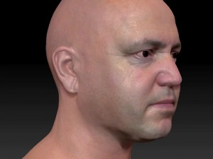Male head ztl Model 3D