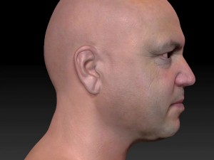 Male head ztl Model 3D
