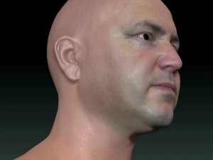 Male head ztl Model 3D