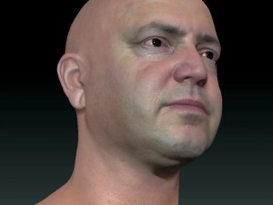 Male head ztl Model 3D