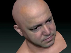 Male head ztl Model 3D