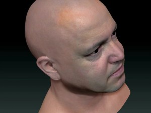 Male head ztl Model 3D