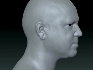 Male head ztl Model 3D