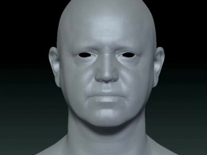 Male head ztl Model 3D