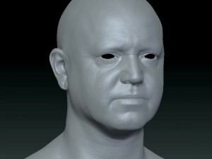 Male head ztl Model 3D