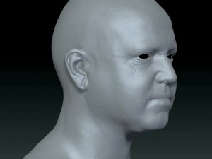 Male head ztl Model 3D