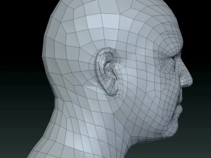 Male head ztl Model 3D