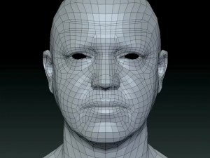 Male head ztl Model 3D