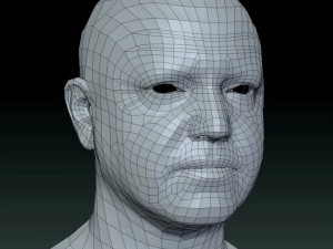 Male head ztl Model 3D
