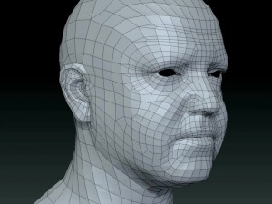 Male head ztl Model 3D