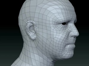 Male head ztl Model 3D