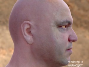 Male head ztl Model 3D