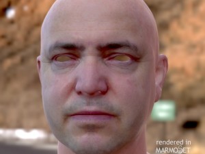 Male head ztl Model 3D