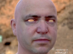 Male head ztl Model 3D