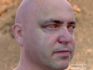 Male head ztl Model 3D