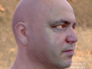 Male head ztl Model 3D