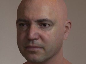 human head max 2 3D Model