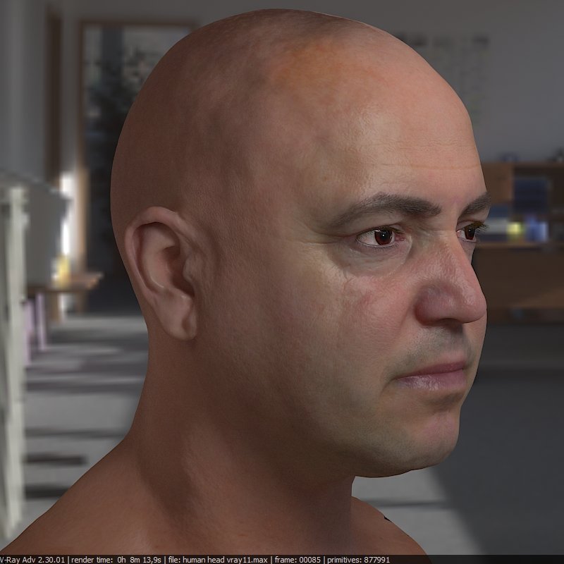 Head max. Male realistic character pack 02. Игра голова человека. Евгений аксенов актер. Евгений аксенов актер.