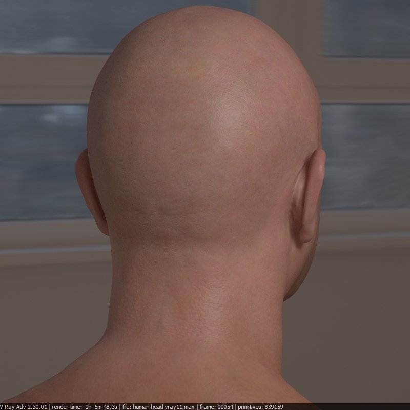 Fast and furious игра. Арк 2 доминик торетто. Голова макса тф2. Голова v1. Человек с яблоком на голове.