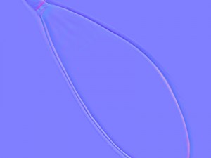 Human head max 2 Modello 3D