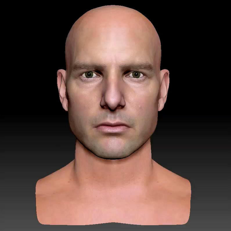 The 3d Tom Cruise head 3D Model in Anatomy 3DExport