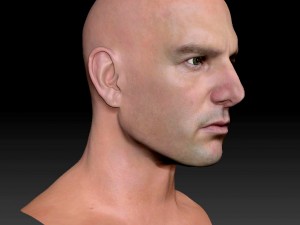The 3d tom cruise head 3D Model
