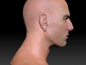 The 3d tom cruise head 3D Model