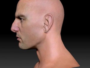 The 3d tom cruise head 3D Model