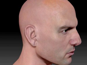 The 3d tom cruise head 3D Model