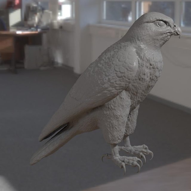 Falcon bird basic shape 3D Модель .c4d .max .obj .3ds .fbx .stl .blend 