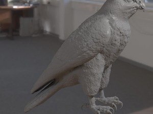 Falcon bird basic shape 3D Model