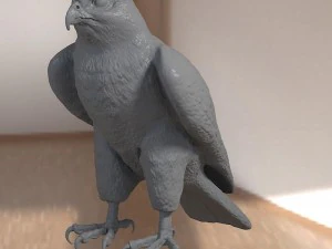 Forma base dell'uccello falco Modello 3D