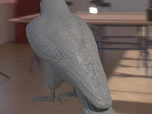 Forma base dell'uccello falco Modello 3D