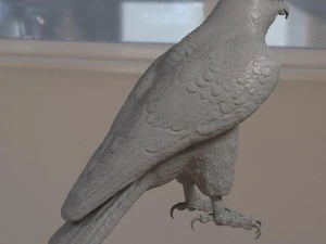 Forma base dell'uccello falco Modello 3D
