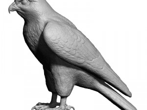 Falcon bird basic shape 3D Модель