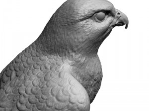 Falcon bird basic shape 3D Модель