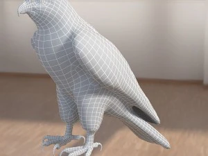 Forma base dell'uccello falco Modello 3D