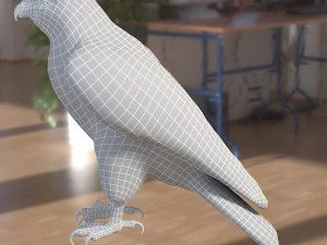 Forma base dell'uccello falco Modello 3D